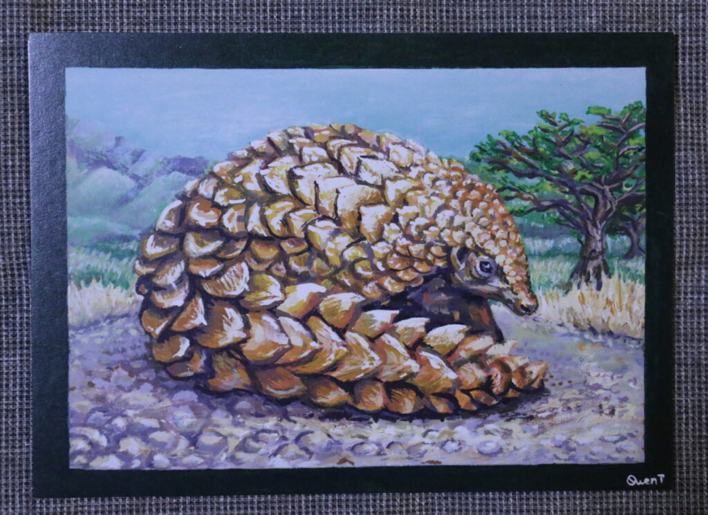 Pangolin Print