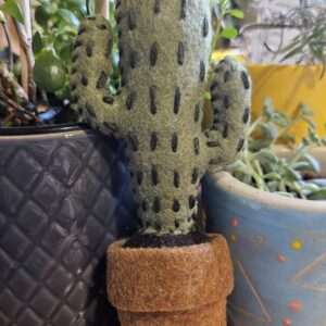 Cactus Felt Friend